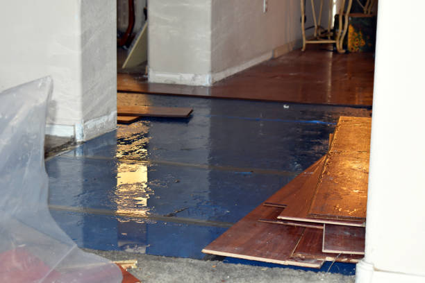 Professional Burst Pipe Cleanup technician working in Crescent, IA